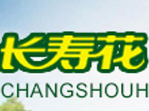 長壽花特級(jí)初榨橄欖油750ml箱裝加盟批發(fā)指南